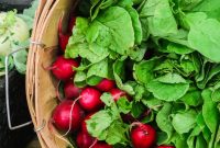 Seasonal Eating Guide for Beginners: What to Buy Each Month