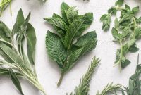 Fresh Herbs Buying Guide: Select, Store, and Use