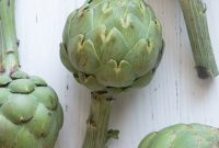 How to Prepare Artichokes for Cooking