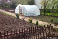 What Kosovo Gardens Teach About Community and Resilience