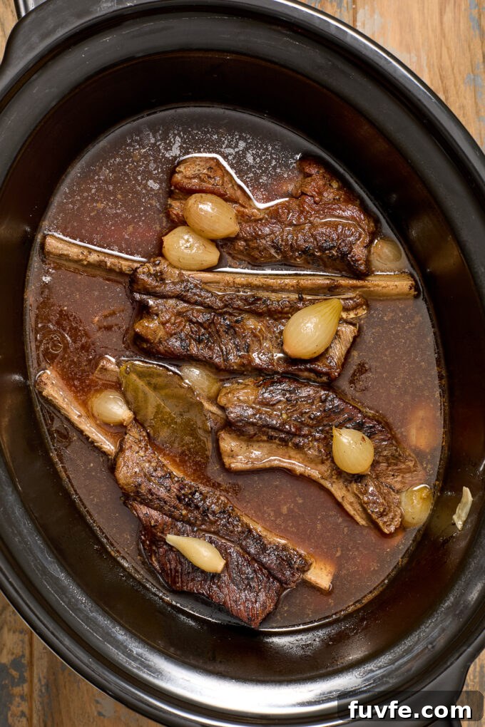 Red Wine Braised Beef Short Rib Risotto 7 Beef short ribs in slow cooker.