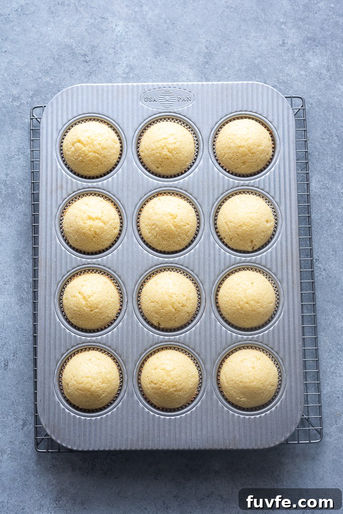 Vanilla cupcakes after baking.
