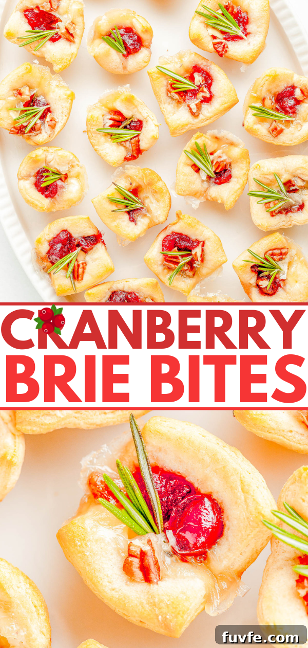 A plate of Cranberry Brie Bites arranged neatly. The bites consist of crisp pastry filled with melted brie, cranberry sauce, and garnished with fresh rosemary.