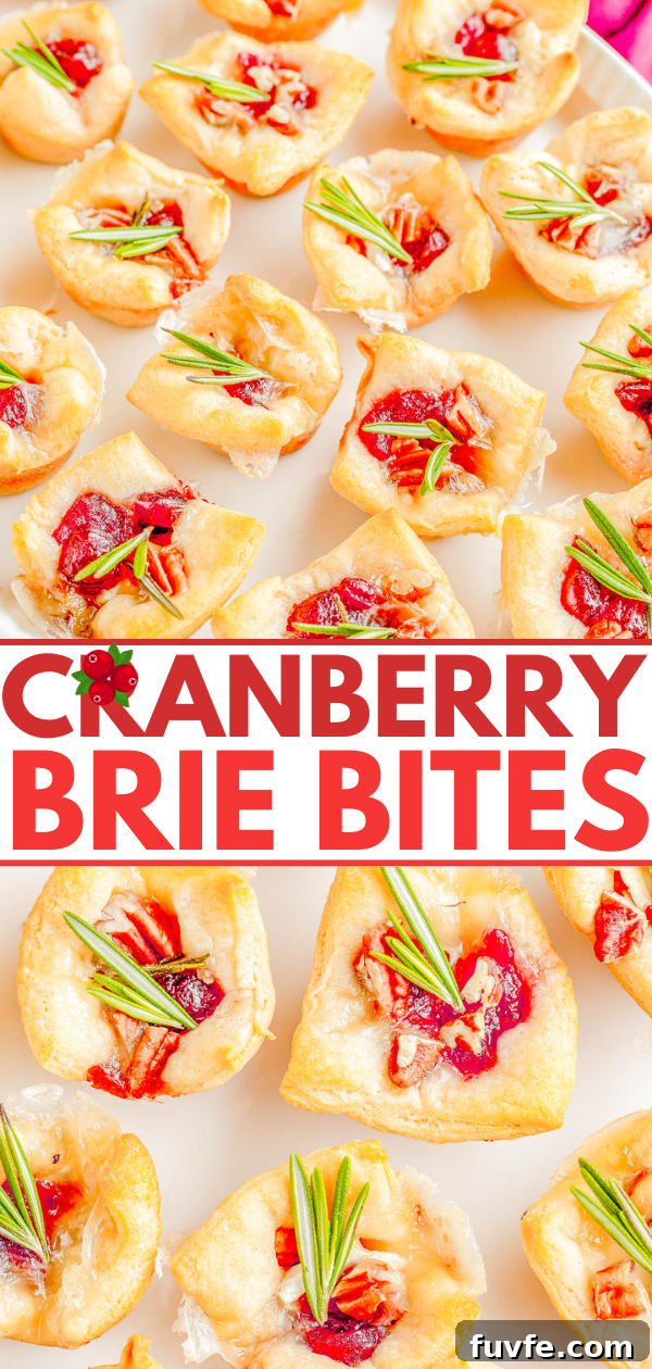 A tray of cranberry brie bites garnished with sprigs of rosemary is displayed. The top portion of the image features the text "CRANBERRY BRIE BITES" in bold red letters.