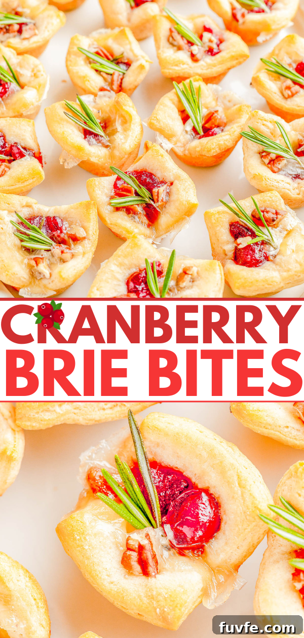 Cranberry brie bites, puff pastry cups filled with baked brie cheese, cranberries, and rosemary garnish on a white background.
