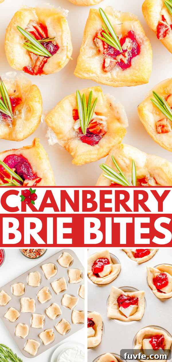 Cranberry Brie Bites are shown. The process is depicted from start to finish: filling cups with Brie and cranberry sauce, then baking until golden. Garnished with rosemary sprigs.