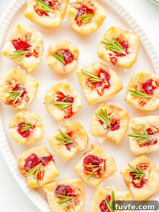 A platter of cranberry brie bites made with crescent dough topped with chopped pecans and fresh rosemary.
