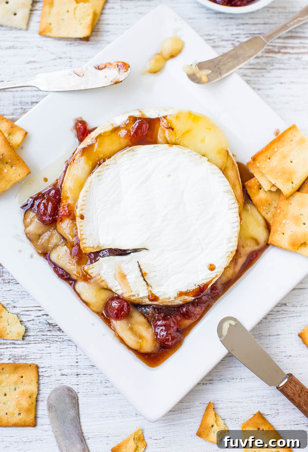 Baked brie with balsamic cherries on a square plate with crackers. 