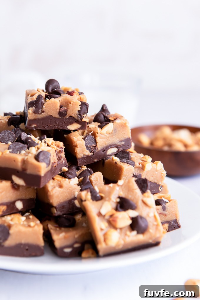 Homemade Chocolate Peanut Butter Fudge Recipe 3 Chocolate peanut butter fudge on a plate with a bowl of peanuts
