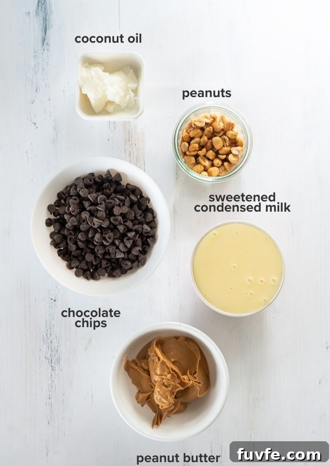 Homemade Chocolate Peanut Butter Fudge Recipe 4 Chocolate peanut butter fudge recipe ingredients