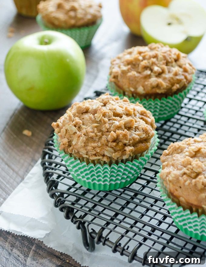 Moist Apple Oatmeal Muffins Recipe with Cinnamon 2 Apple oatmeal muffins