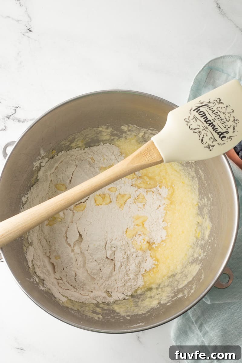 Soft Lemon Blueberry Cookies Recipe: Tender Citrus Berry Treats 6 Wet and cry ingredients combined together in bowl from stand mixer.