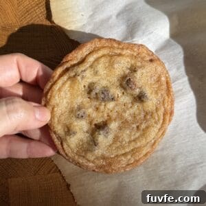 Thin Chocolate Chip Cookie