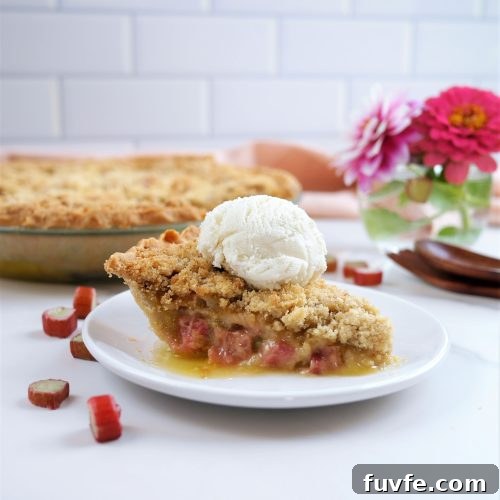 Fresh Rhubarb Pie with Buttery Crumb Topping 2 Fresh Rhubarb Pie with Crumb Topping