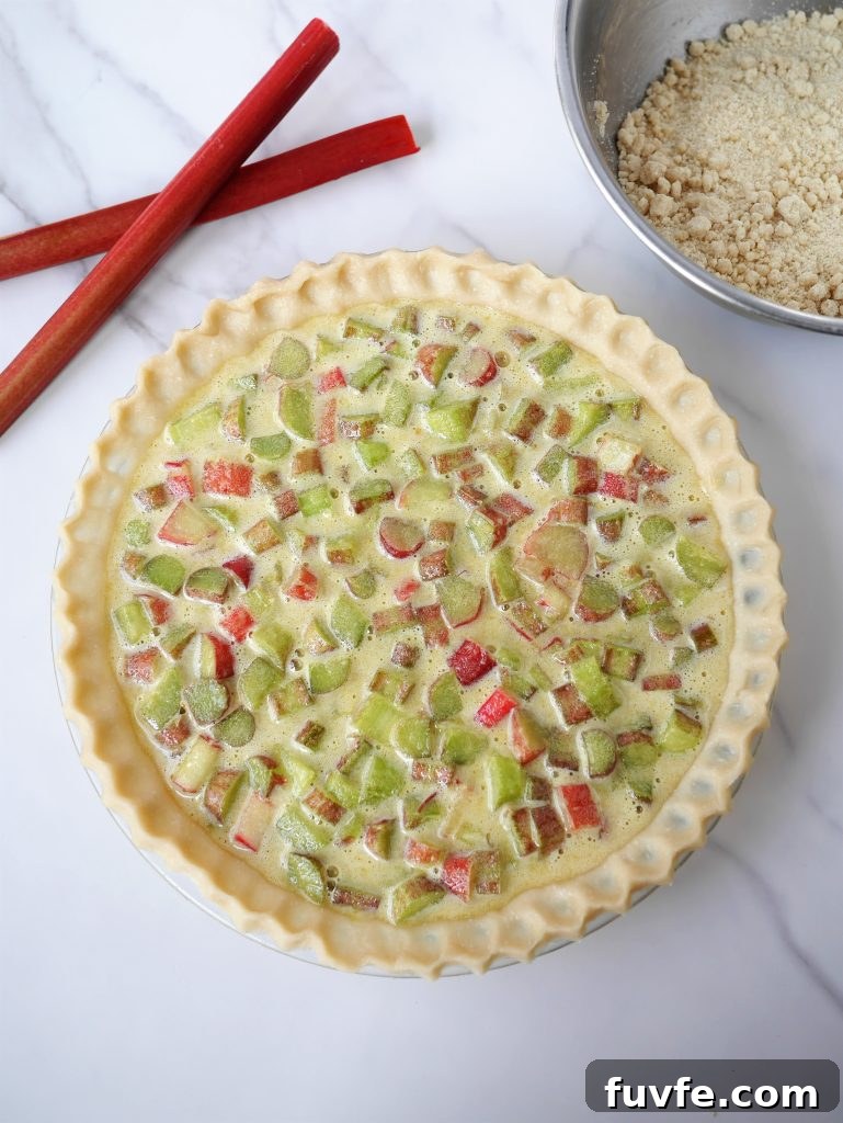 Fresh Rhubarb Pie with Buttery Crumb Topping 5 img 1118 4