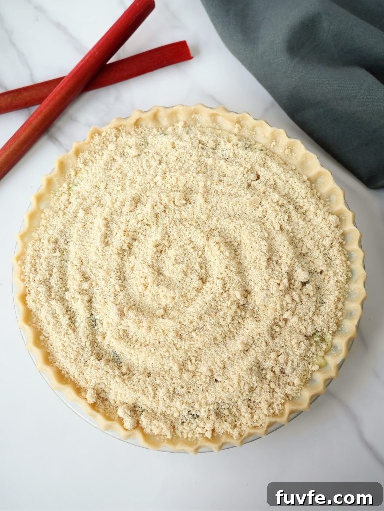 Fresh Rhubarb Pie with Buttery Crumb Topping 7 img 1118 6