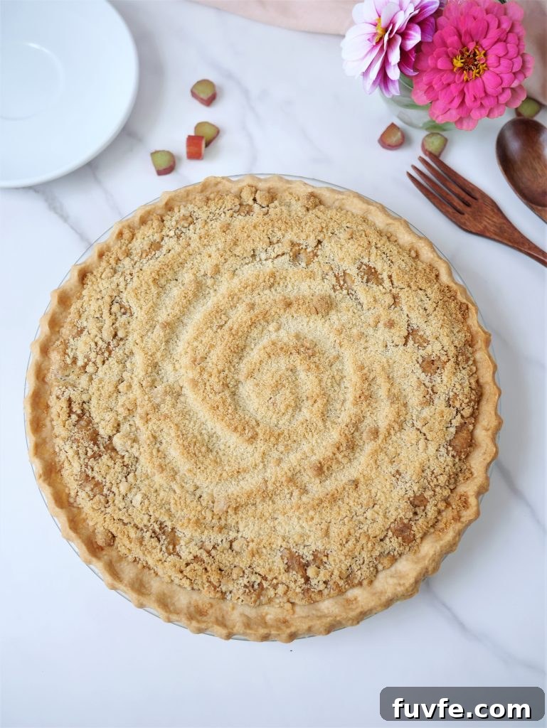 Fresh Rhubarb Pie with Buttery Crumb Topping 8 img 1118 7