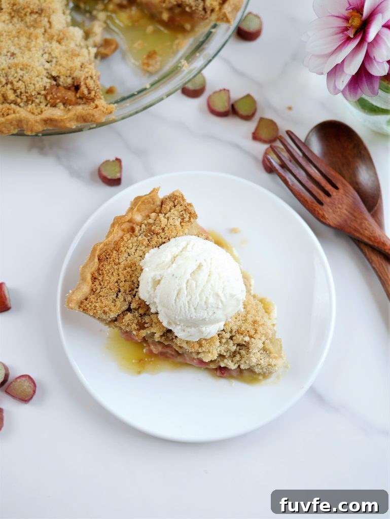 Fresh Rhubarb Pie with Buttery Crumb Topping 9 img 1118 8
