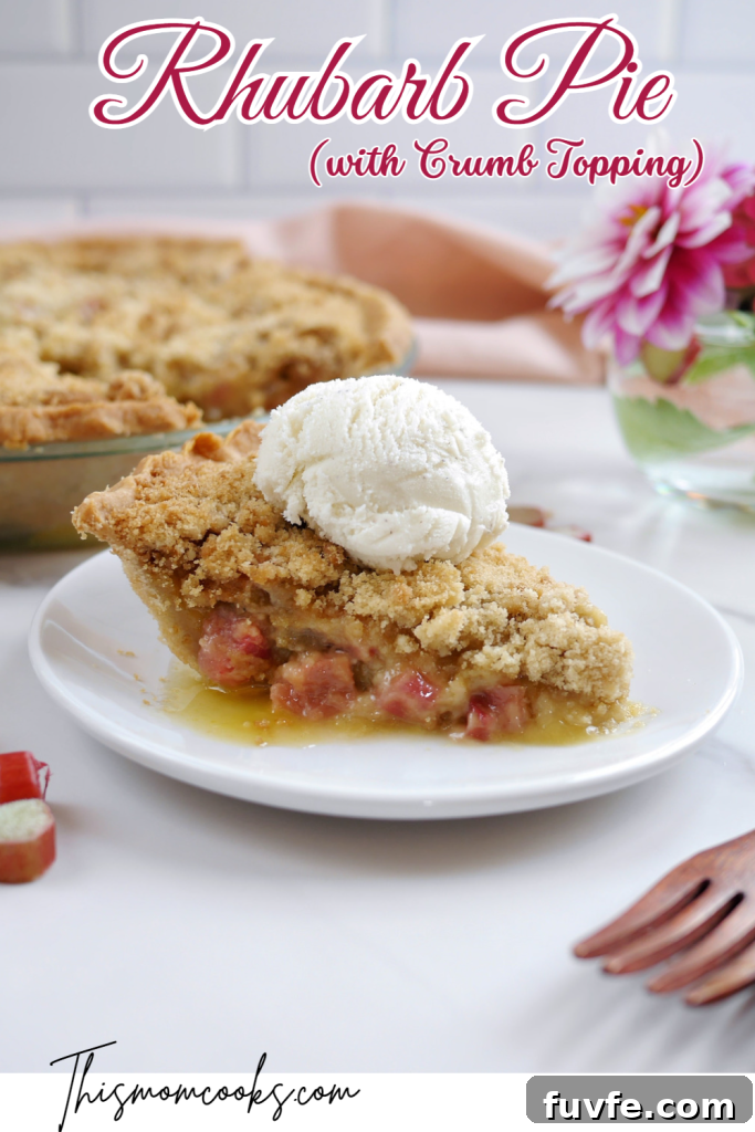 Fresh Rhubarb Pie with Buttery Crumb Topping 10 img 1118 9