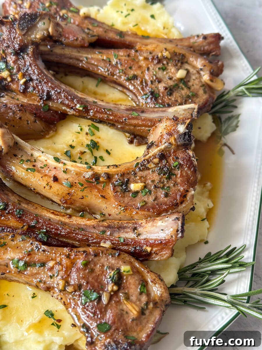 Garlic and Rosemary Lamb Chops Recipe: Crispy, Juicy, Oven-Roasted 13 best lamb chop recipe