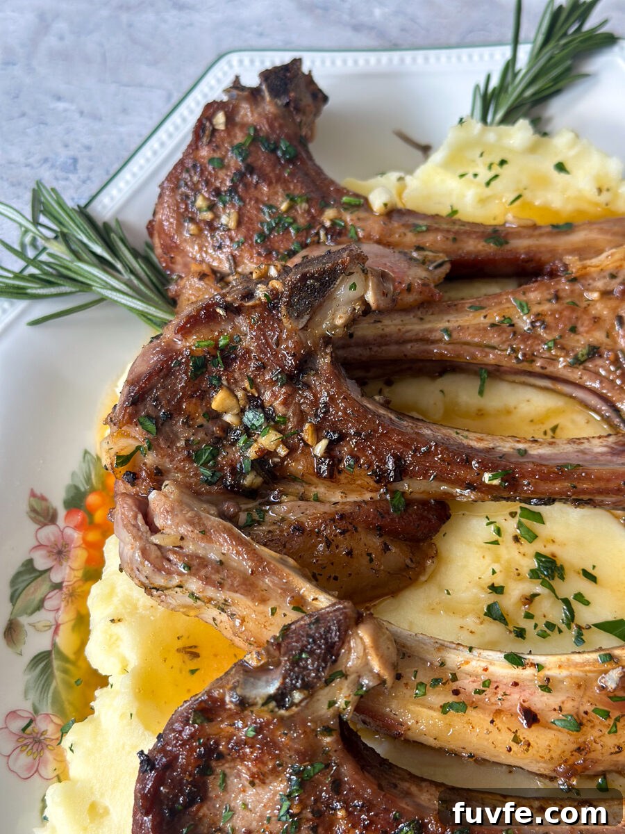 Garlic and Rosemary Lamb Chops Recipe: Crispy, Juicy, Oven-Roasted 8 best lamb chop recipe