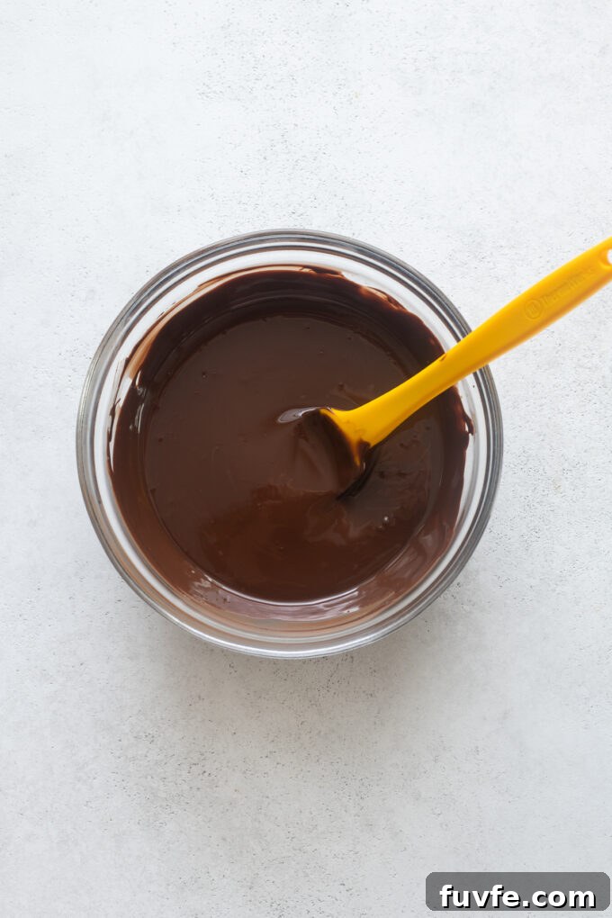 Melted dark chocolate chips and coconut oil in small bowl.