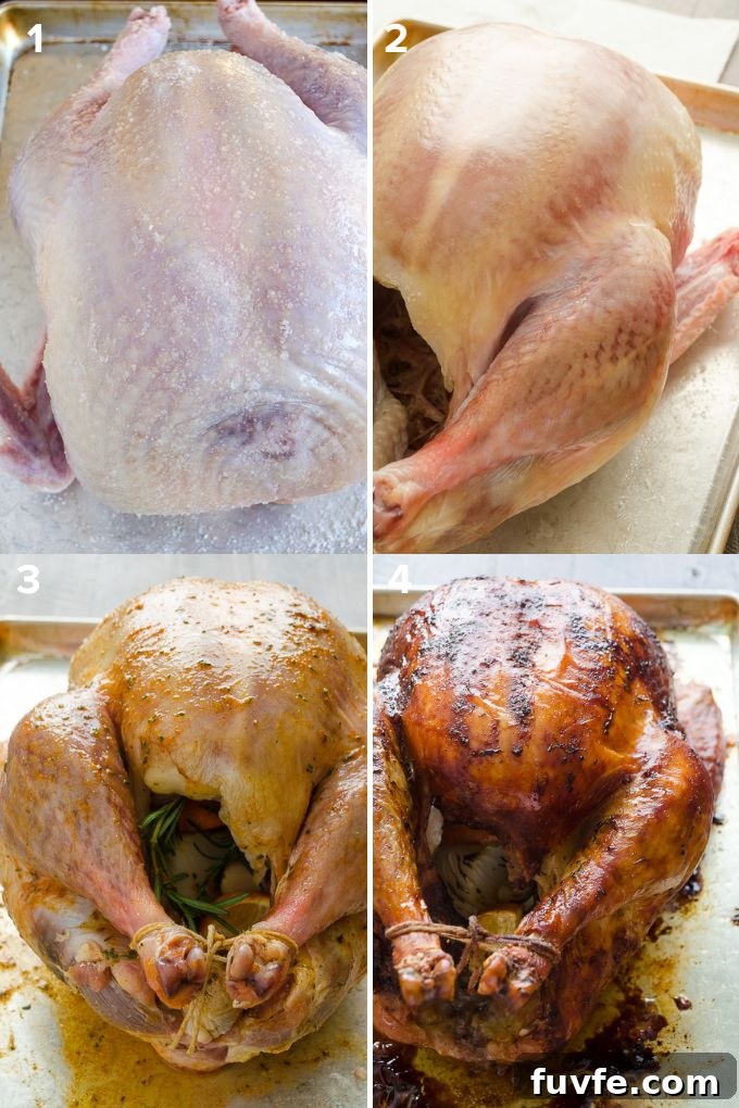 Dry-Brined Roast Turkey Recipe for Juicy, Crispy Skin 4 How to dry brine turkey.