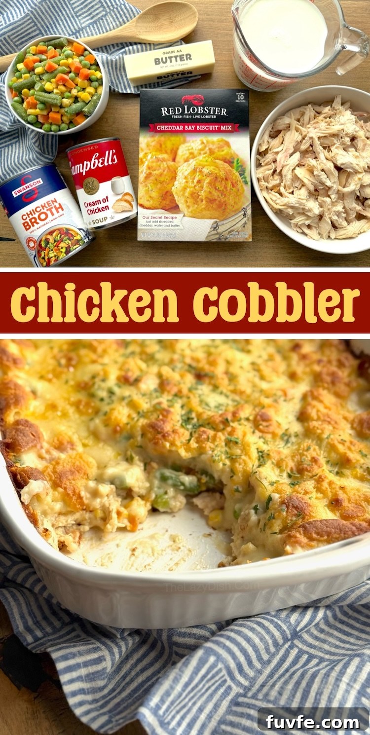 Do you have a big family with kids to feed? Try this quick and easy chicken cobbler dinner casserole tonight!