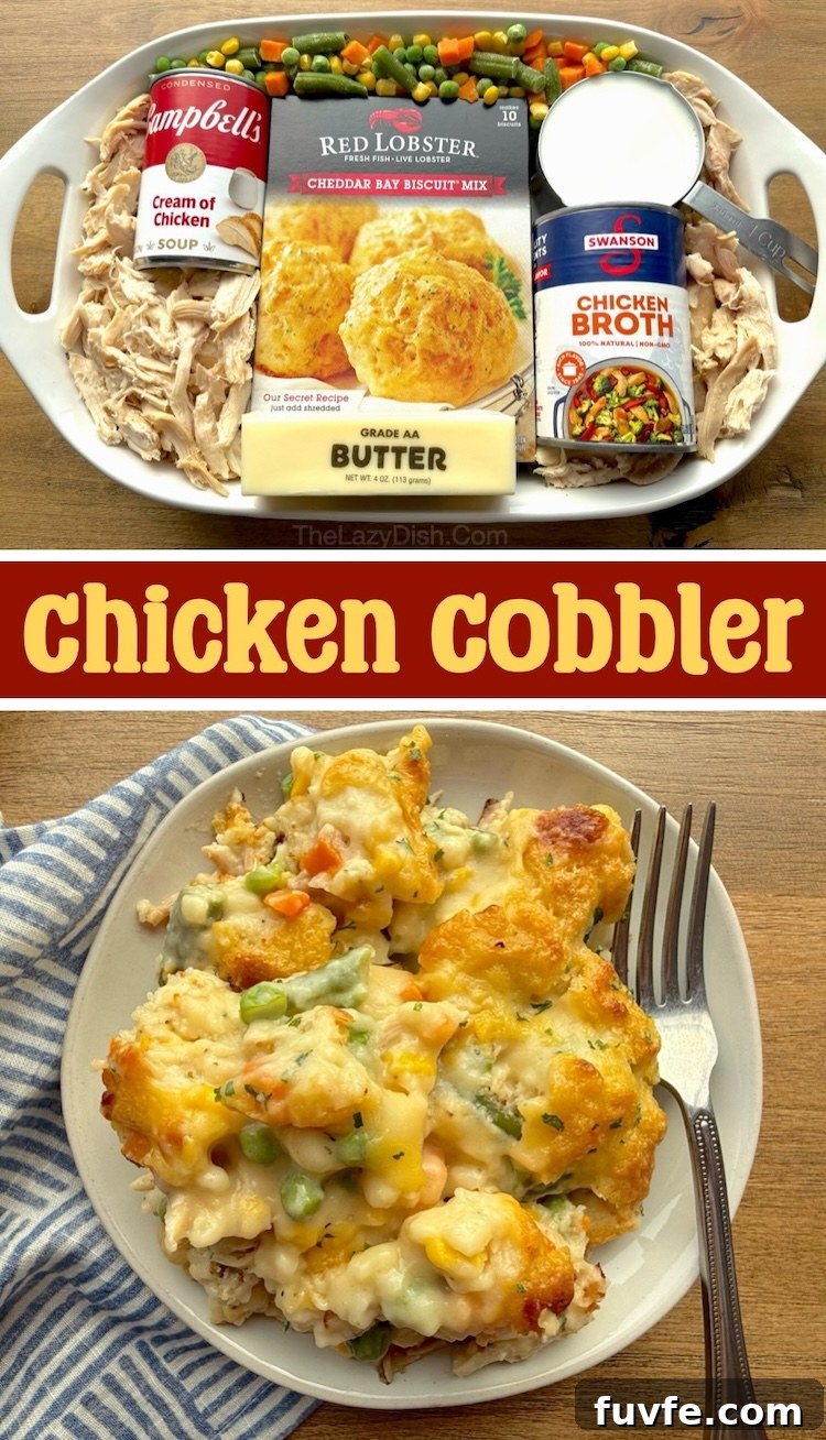 This cheap and easy chicken dinner recipe feeds a large family with kids!