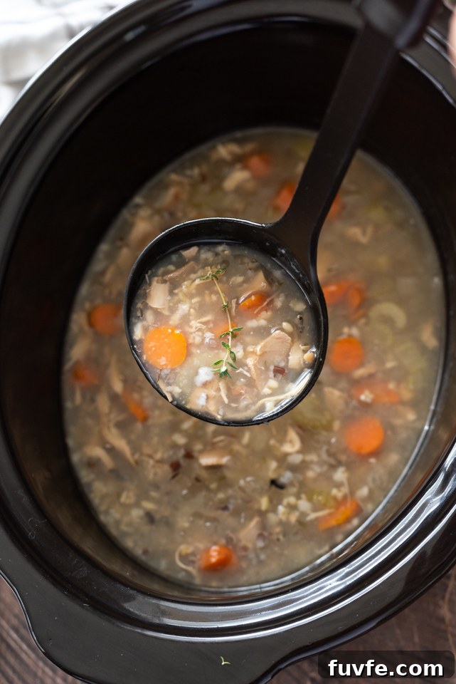 Ladleful of turkey wild rice soup