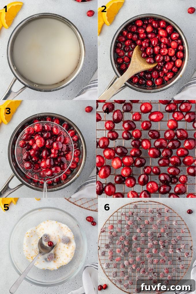 Sparkling Orange Sugared Cranberries Recipe 5 How to make sugared cranberries