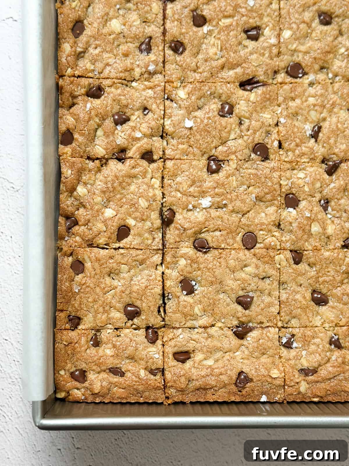 the oatmeal cookie bars cut in the pan.