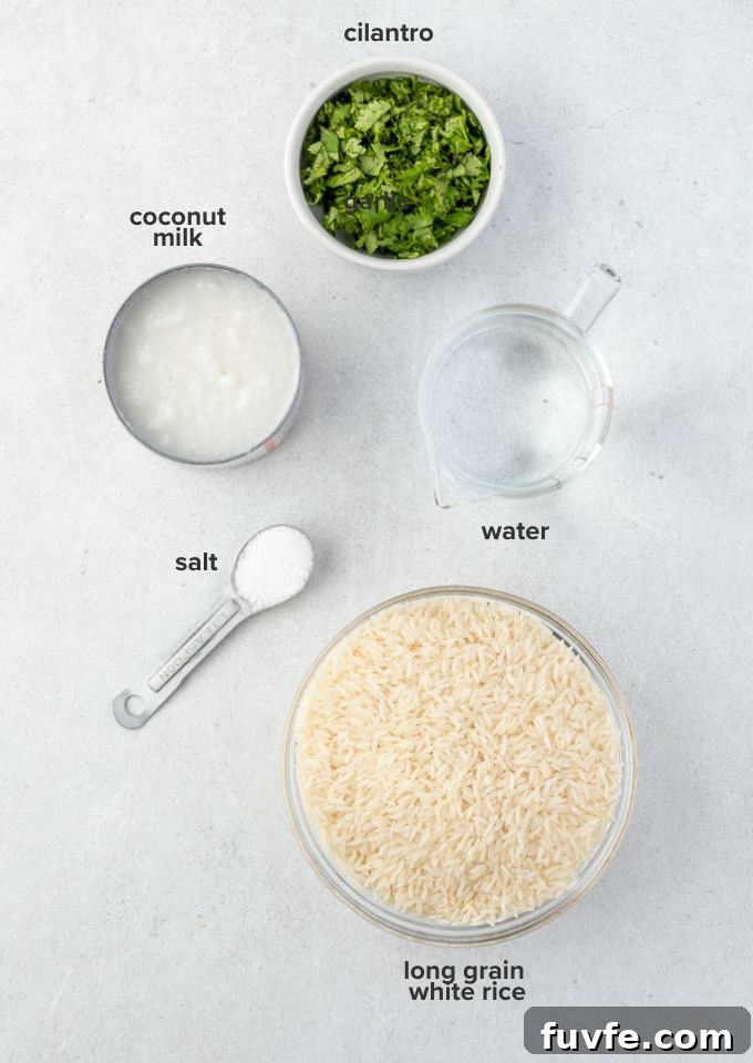 How to Make Coconut Rice (Creamy Jasmine Rice) 4 Coconut rice recipe ingredients
