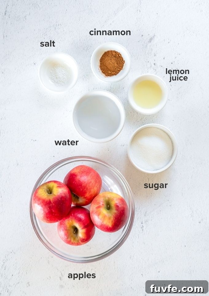 Easy homemade applesauce recipe ingredients