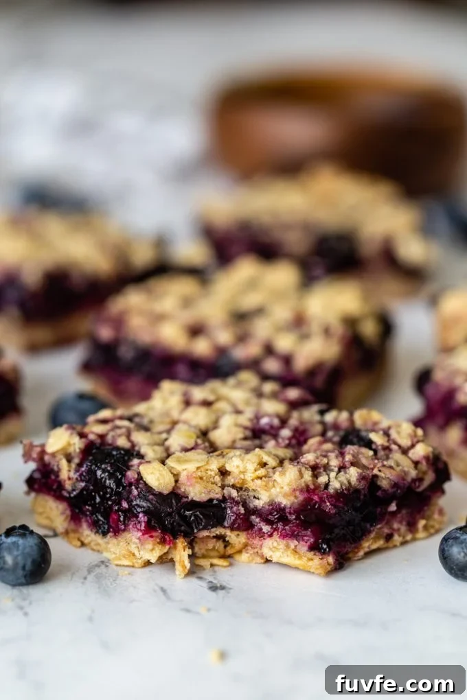 Chewy Blueberry Crumble Bars with Golden Oat Topping 2 blueberry crumble bars with blueberries around