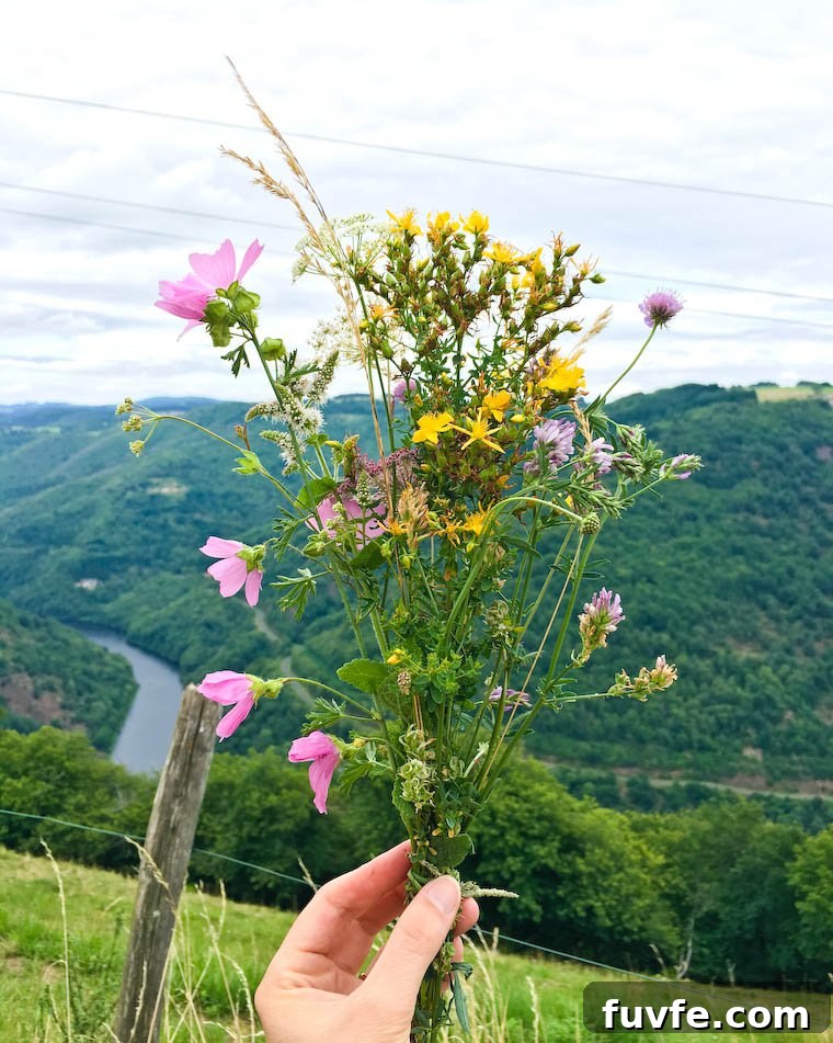 Wild Flowers