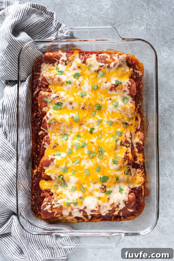 Homemade Chicken Enchiladas Recipe with Cheesy Sauce 3 Easy chicken enchiladas in a baking dish with cilantro on top