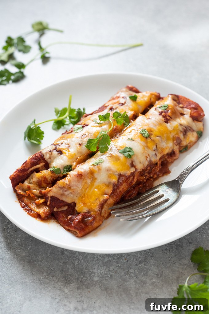 Homemade Chicken Enchiladas Recipe with Cheesy Sauce 6 Two chicken enchiladas on a white plate with cilantro