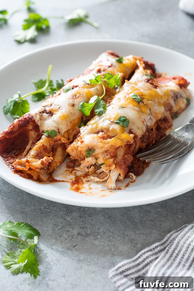 Weeknight Chicken Enchiladas Recipe with Cheesy Sauce 7 Chicken enchiladas on a plate with bite out of one