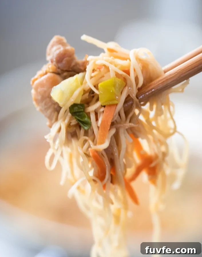 Chicken Chow Mein: Quick Homemade Takeout-Style Recipe 3 picture of chopstick holding chicken chow mein with cabbage, green onions, carrots and bean sprouts and oyster sauce