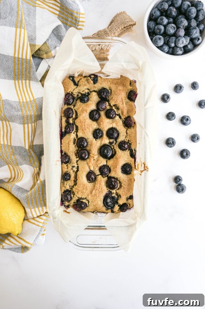 Lemon Blueberry Quick Bread Recipe for Moist Zesty Loaves 6 Overhead image of lemon blueberry loaf topped with blueberries and sitting on a white background