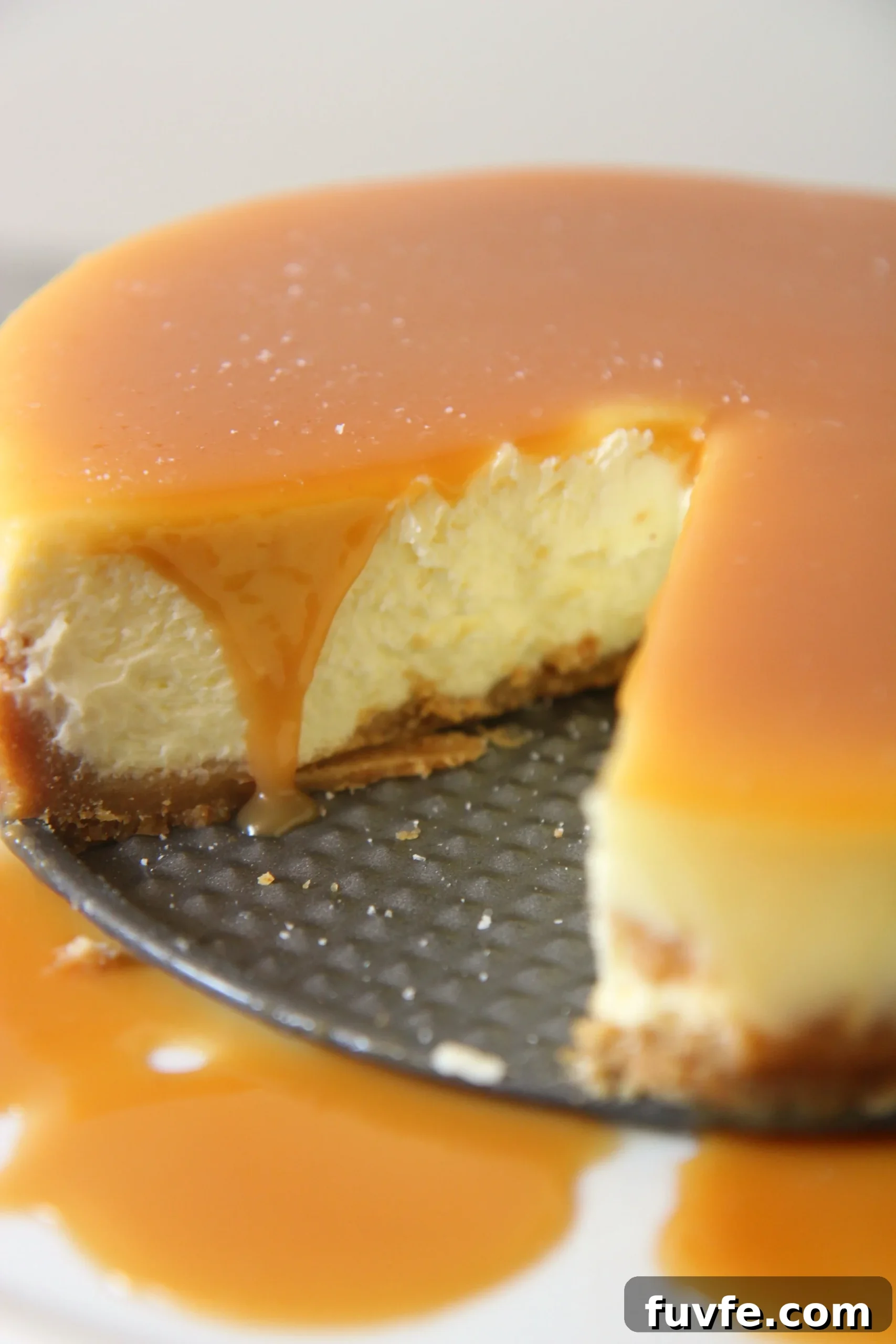 salted caramel cheesecake on a springform pan