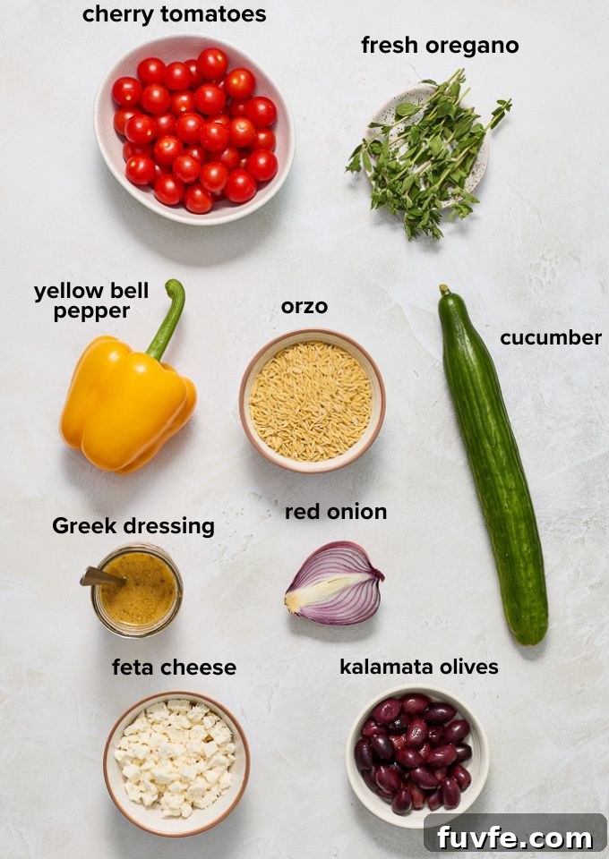 Greek Orzo Salad with Feta, Olives and Lemon Dressing 4 Greek orzo salad recipe ingredients.