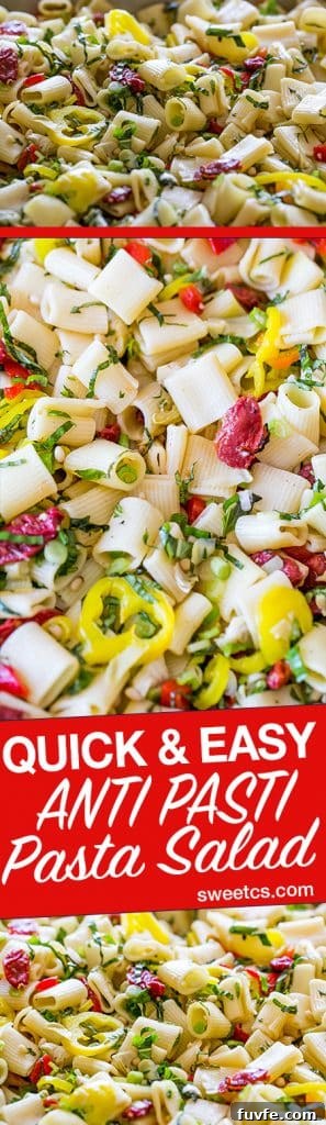 Vegan Antipasti Pasta Salad with Roasted Veggies and Olives 13 This delicious, quick and easy anti pasti pasta salad is so delicious and perfect for groups!