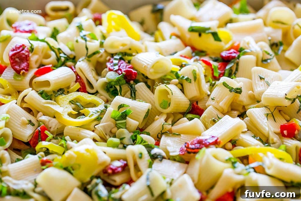 Vegan Antipasti Pasta Salad with Roasted Veggies and Olives 3 Antipasti pasta salad- vegan and perfect for a crowd!