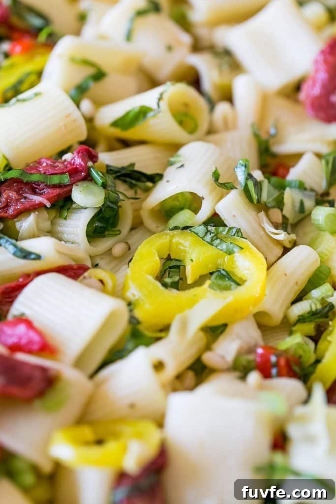 Vegan Antipasti Pasta Salad with Roasted Veggies and Olives 4 this easy pasta salad has a ton of delicious antipasti flavor!