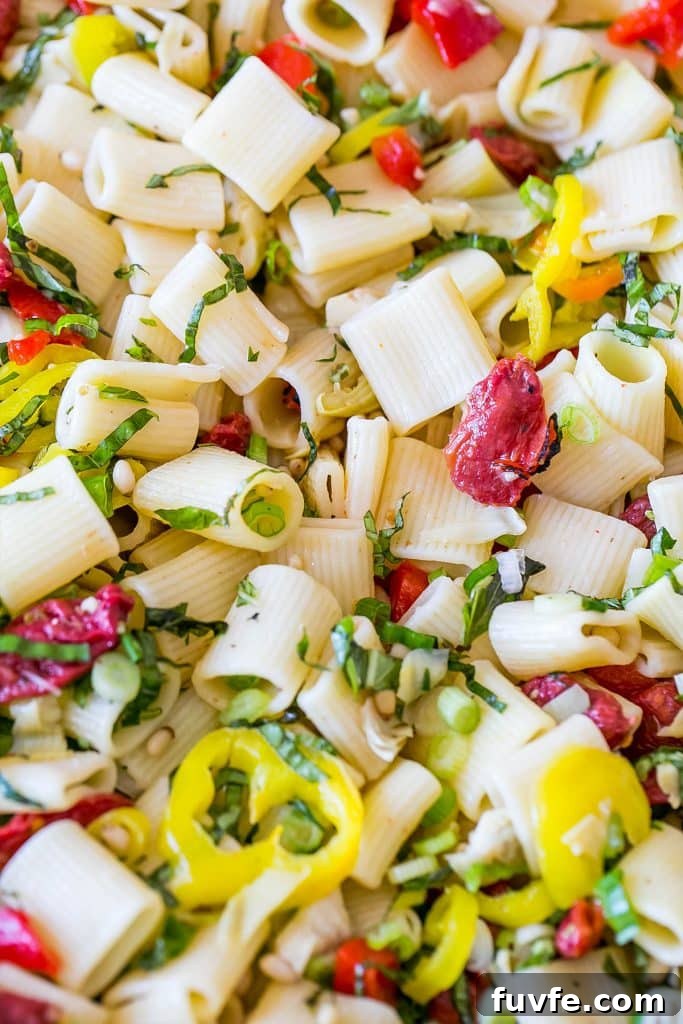 Vegan Antipasti Pasta Salad with Roasted Veggies and Olives 5 This pasta salad has a ton of anti pasti flavor and is so quick and easy!