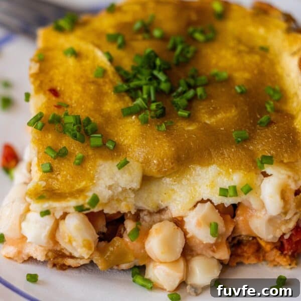 Vegan Antipasti Pasta Salad with Roasted Veggies and Olives 10 Vegan enchilada pie topped with chopped chives.