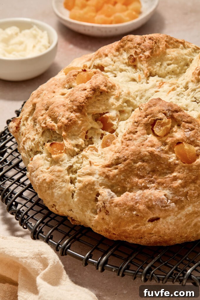 Irish soda bread with apricots on a wire rack.