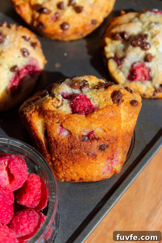 Chocolate Raspberry Muffins
